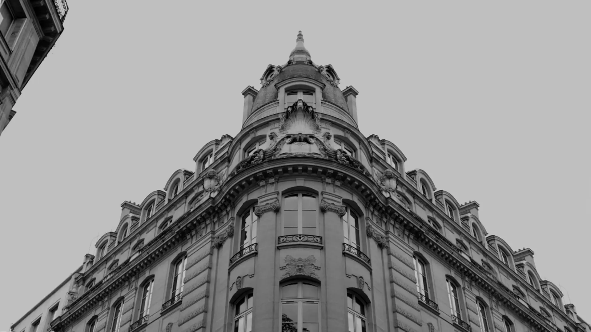 50TH ANNIVERSARY | SPECIAL EDITION